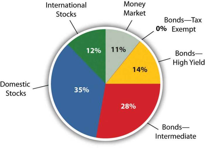 Portfolio finance personal diversification risk asset allocation investments investing management investment examples bonds look return weighting build individual proposed figure